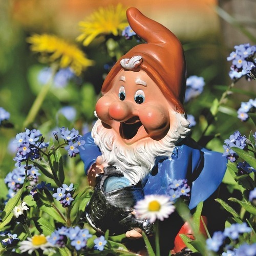 Endlich online: Der KGV Crocus blüht im Netz! 🌸