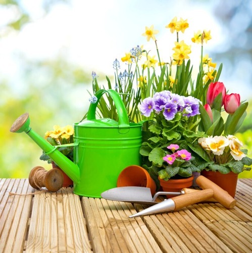 Begehung der Gartenparzellen...